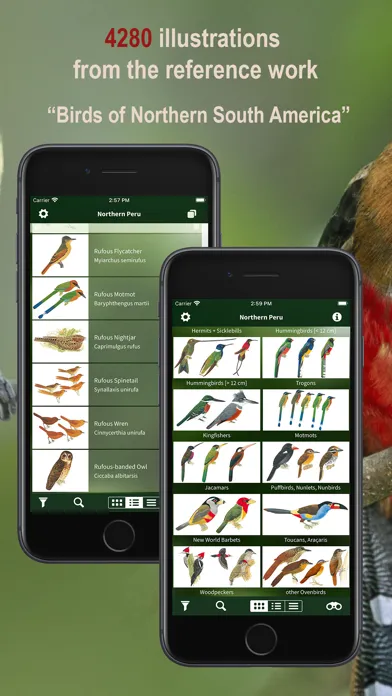 Capturas de pantalla de All Birds Northern Peru