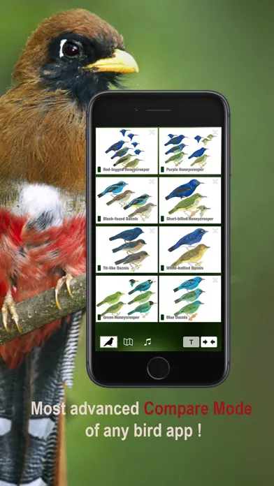 Capturas de pantalla de All Birds Northern Peru