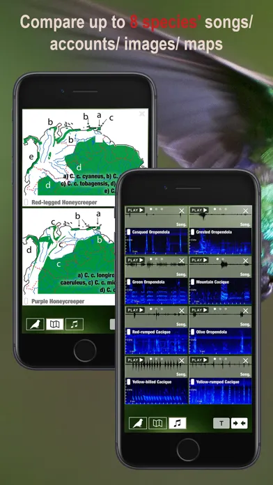 Capturas de pantalla de All Birds Northern Peru