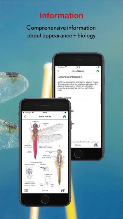 Dragonfly Id Britain & Europe سکرین شاٹس