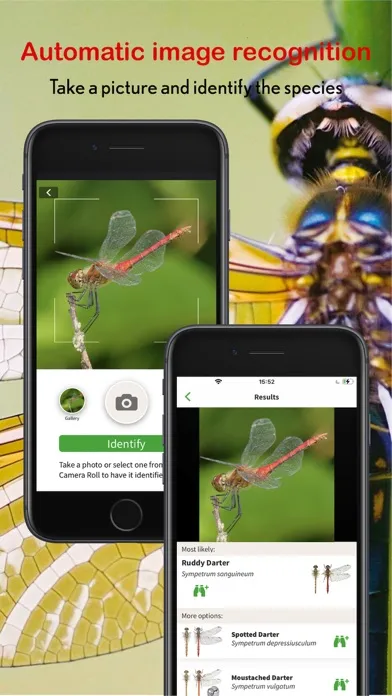 Dragonfly Id Britain & Europe سکرین شاٹس