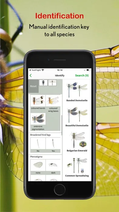 Dragonfly Id Britain & Europe سکرین شاٹس