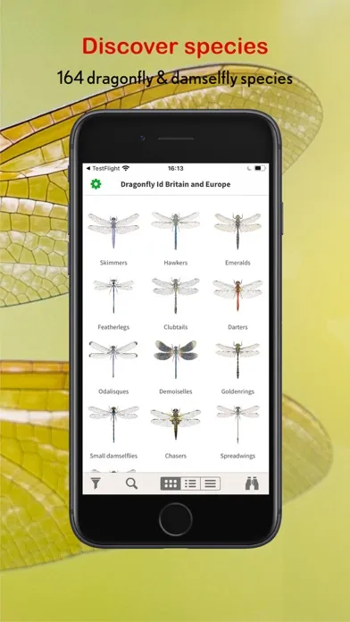 Dragonfly Id Britain & Europe سکرین شاٹس