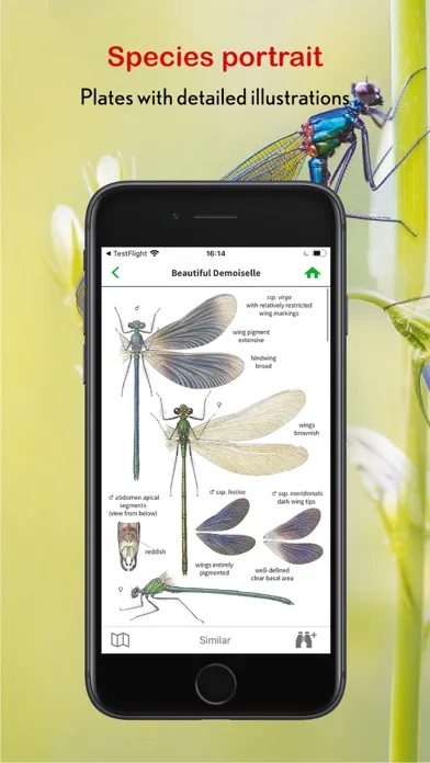 Dragonfly Id Britain & Europe سکرین شاٹس