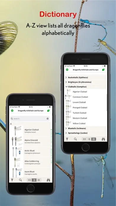 Dragonfly Id Britain & Europe سکرین شاٹس