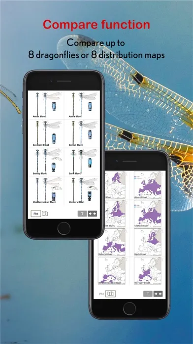 Dragonfly Id Britain & Europe سکرین شاٹس