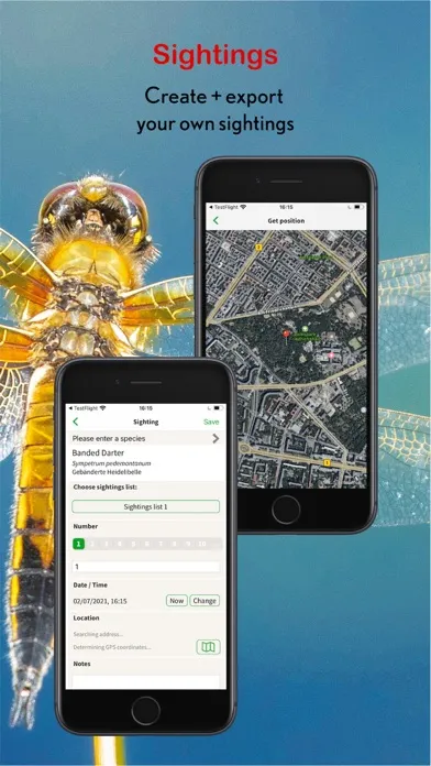 Dragonfly Id Britain & Europe سکرین شاٹس
