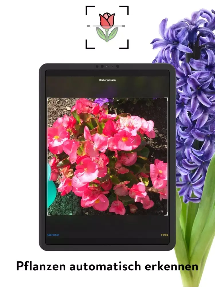 FlowerCam Gartenblumen kaufen iPad  Screenshots
