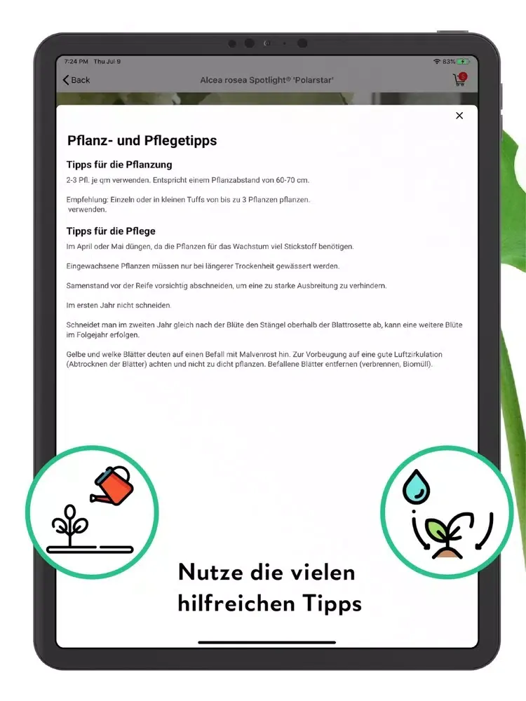 FlowerCam Gartenblumen kaufen iPad  Screenshots