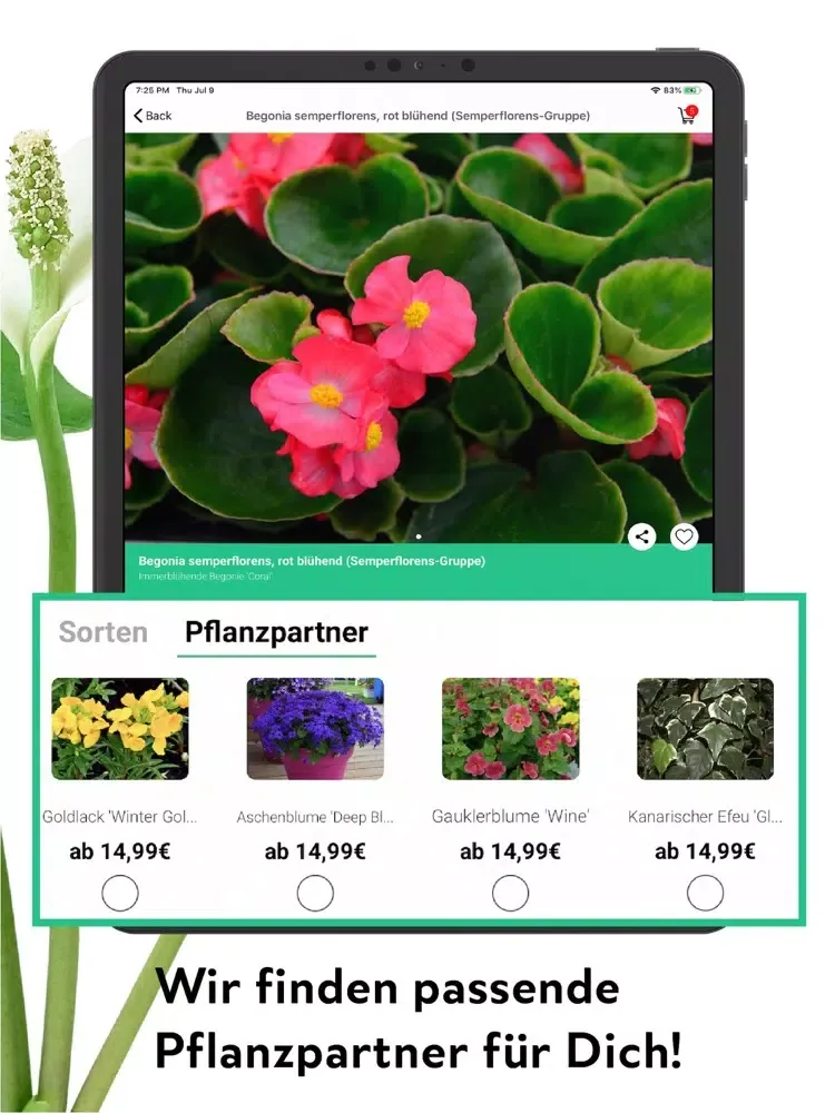 FlowerCam Gartenblumen kaufen iPad  Screenshots