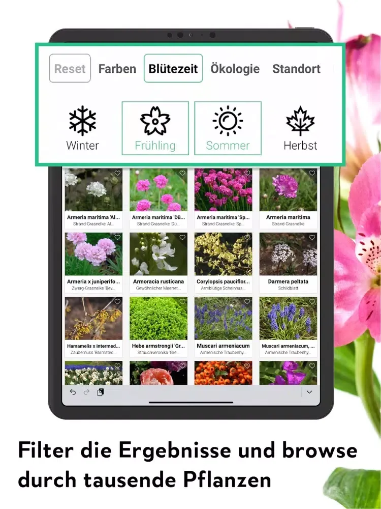 FlowerCam Gartenblumen kaufen iPad  Screenshots