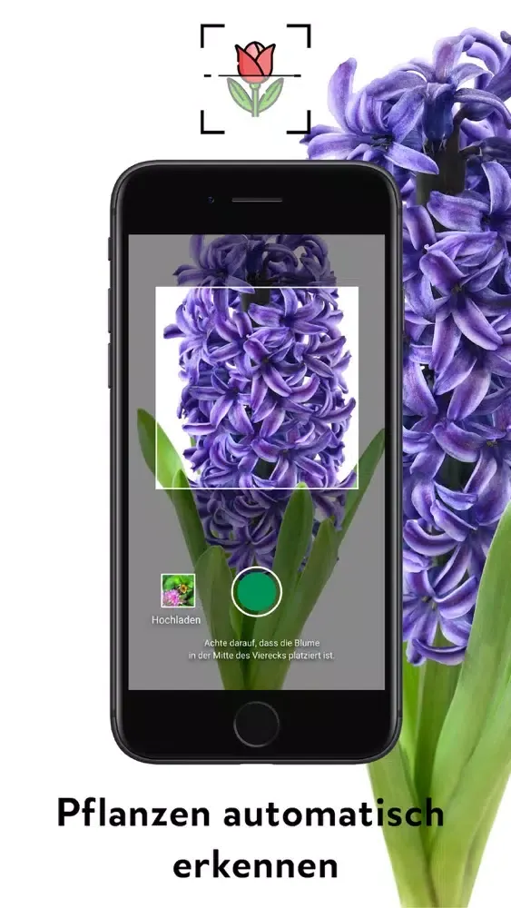 FlowerCam Gartenblumen kaufen Screenshots