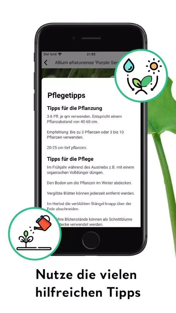 FlowerCam Gartenblumen kaufen Screenshots