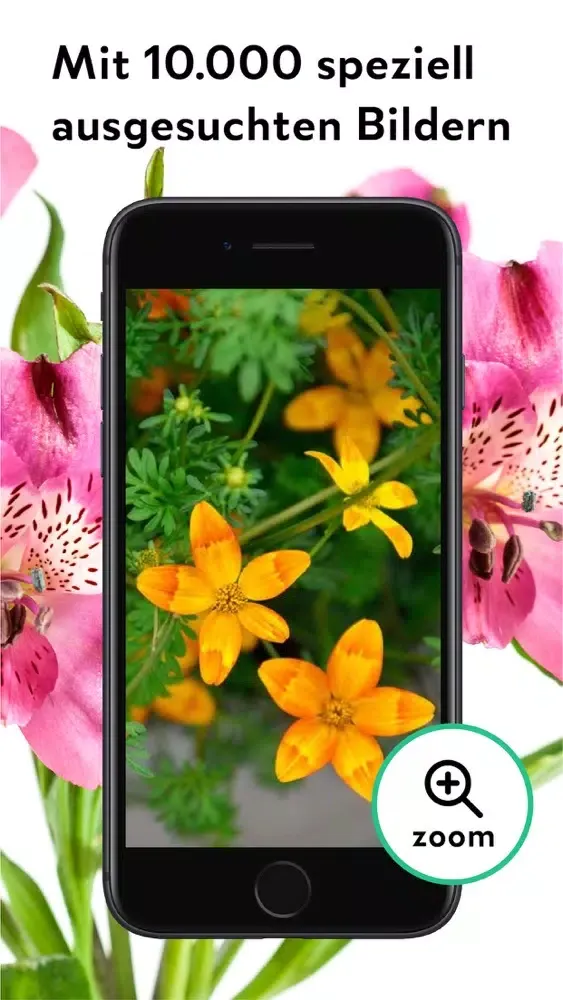 FlowerCam Gartenblumen kaufen Screenshots