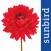 Der Garten-Profi