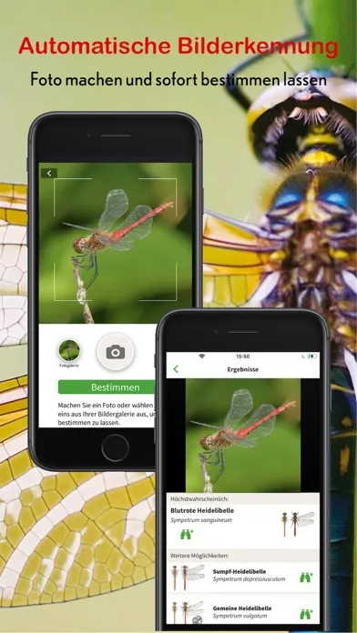تصاویر Libellen Id Europa