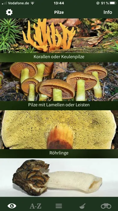 Pilze Sammeln + Bestimmen Screenshots