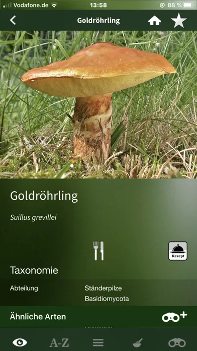 Pilze Sammeln + Bestimmen Screenshots