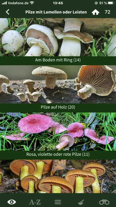 Pilze Sammeln + Bestimmen Screenshots
