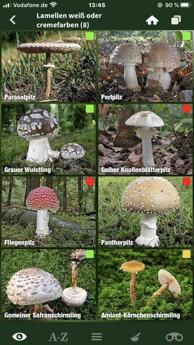 Pilze Sammeln + Bestimmen Screenshots
