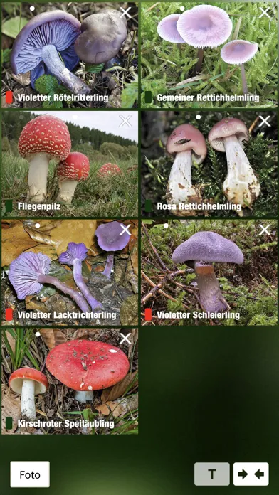 Pilze Sammeln + Bestimmen Screenshots