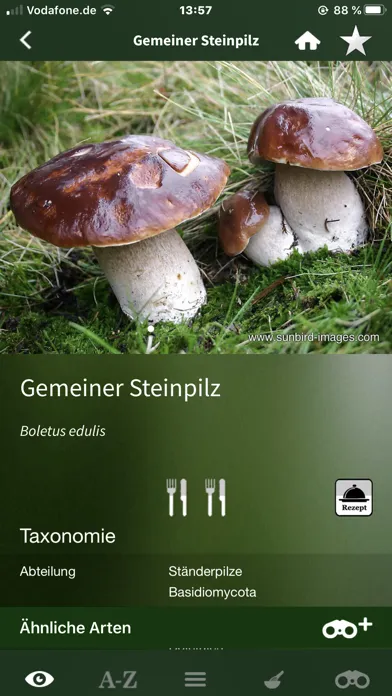 Pilze Sammeln + Bestimmen Screenshots