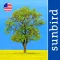 Tree Id USA - identify over 1000 of America's native species of Trees, Shrubs and Bushes