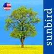 Tree Id USA - identify over 1000 of America's native species of Trees, Shrubs and Bushes Tree Id USA - identify over 1000 of America's native species of Trees, Shrubs and Bushes