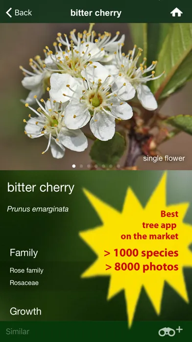 Tangkapan layar Tree Id USA - identify over 1000 of America's native species of Trees, Shrubs and Bushes