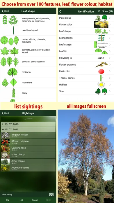 Tangkapan layar Tree Id USA - identify over 1000 of America's native species of Trees, Shrubs and Bushes