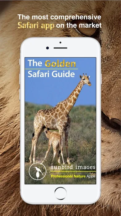 تصاویر The Golden Safari Guide