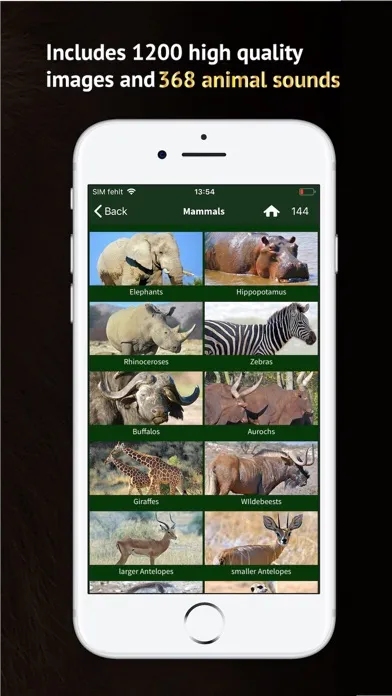 تصاویر The Golden Safari Guide