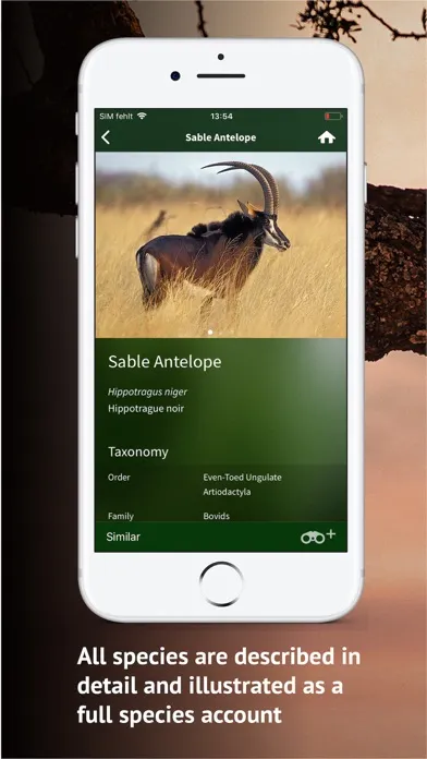 تصاویر The Golden Safari Guide