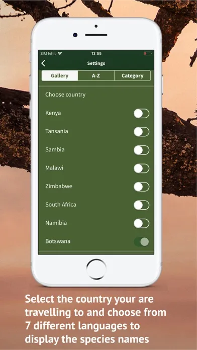 تصاویر The Golden Safari Guide