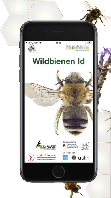 Screenshot di Wildbienen Id BienABest