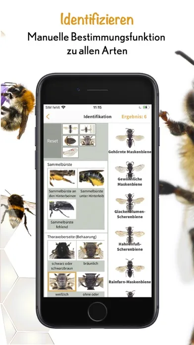 Screenshot di Wildbienen Id BienABest