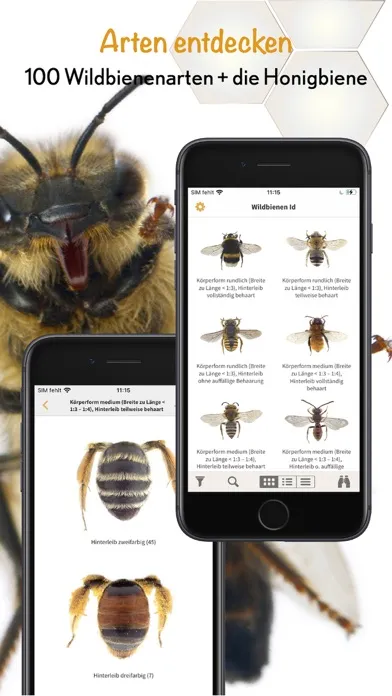 Screenshot di Wildbienen Id BienABest