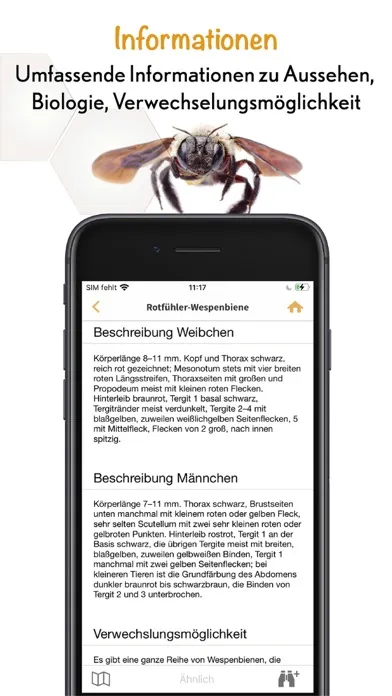 Screenshot di Wildbienen Id BienABest