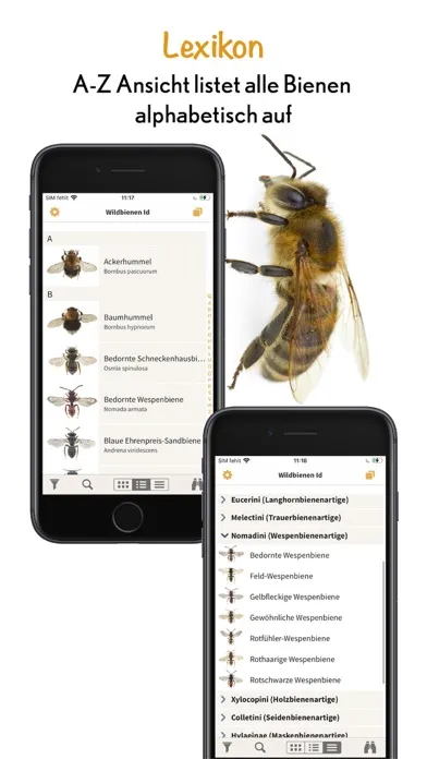 Screenshot di Wildbienen Id BienABest