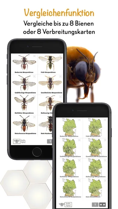 Screenshot di Wildbienen Id BienABest