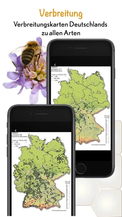 Screenshot di Wildbienen Id BienABest