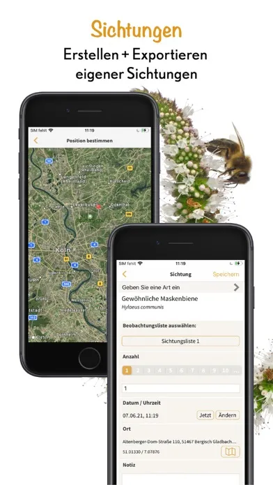 Screenshot di Wildbienen Id BienABest