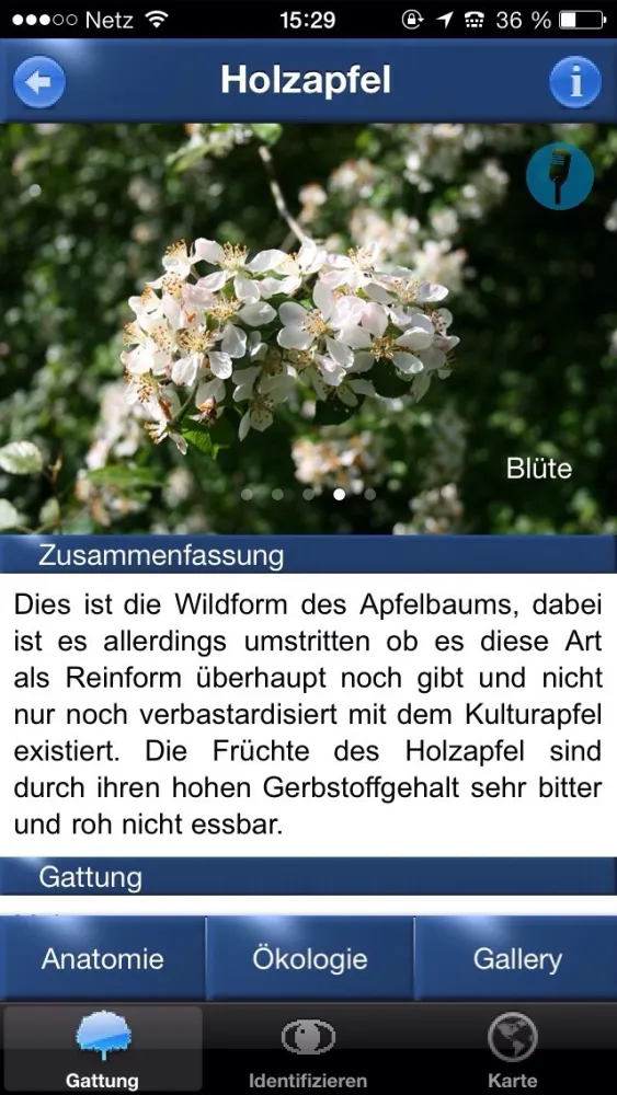 Ảnh chụp màn hình của Baum Id Germany