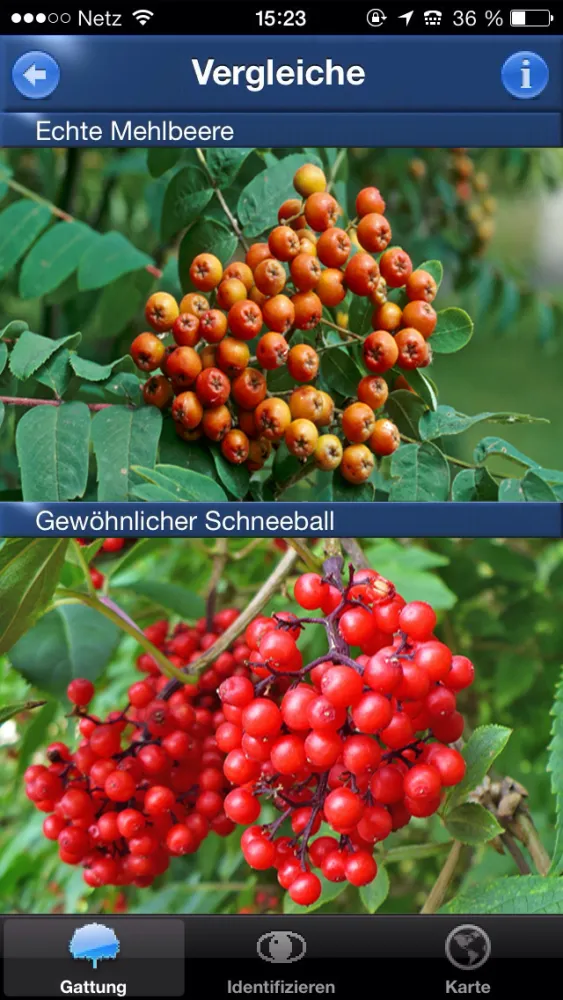 Ảnh chụp màn hình của Baum Id Germany