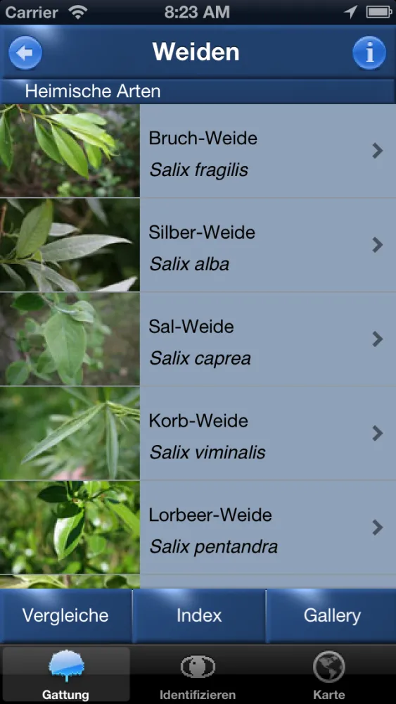 Ảnh chụp màn hình của Baum Id Germany