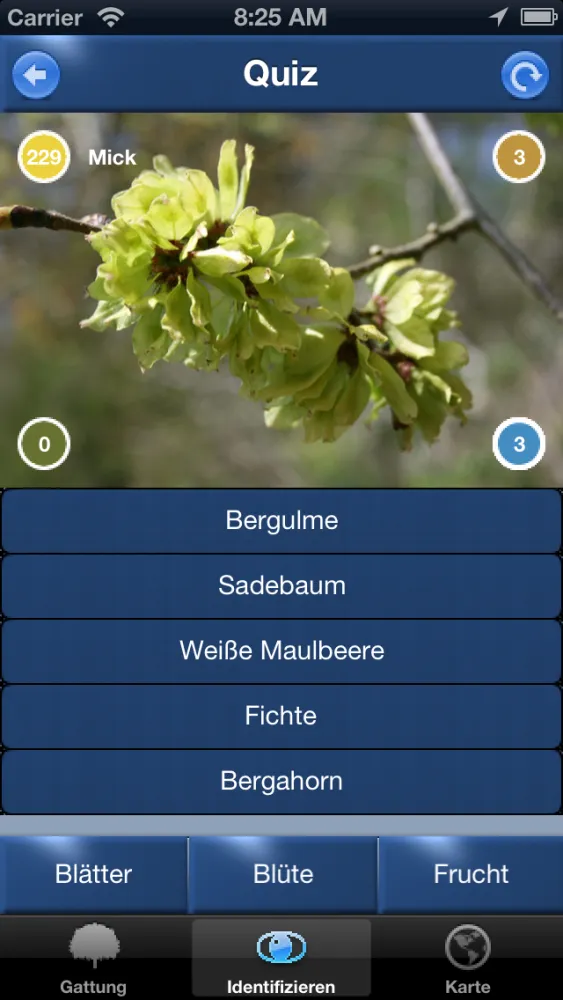 Ảnh chụp màn hình của Baum Id Germany