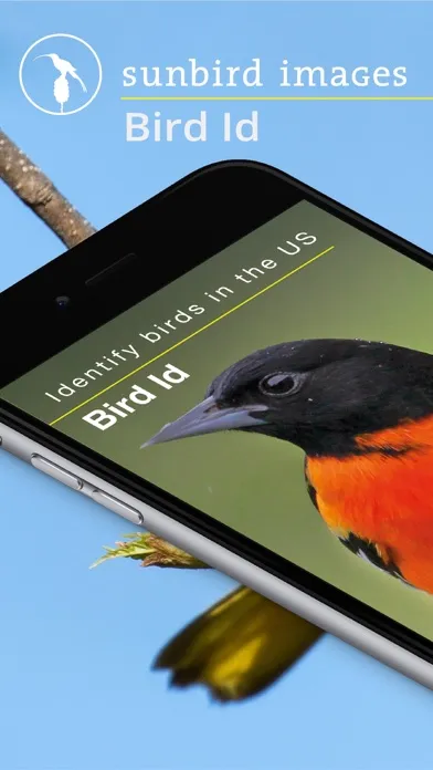 Tangkapan layar Bird Id USA - backyard birds
