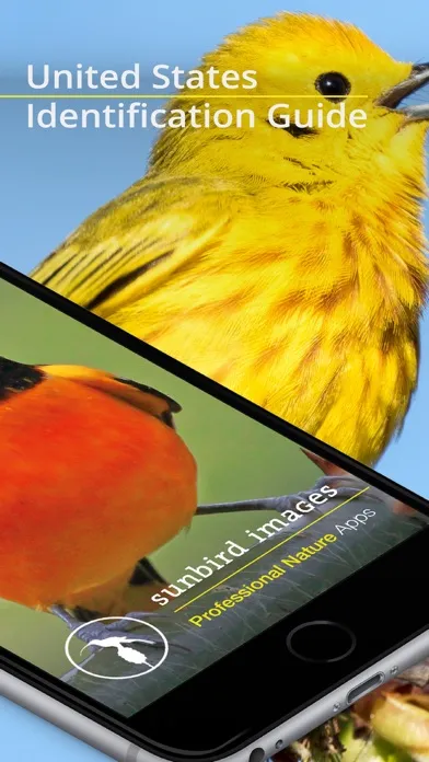 Tangkapan layar Bird Id USA - backyard birds