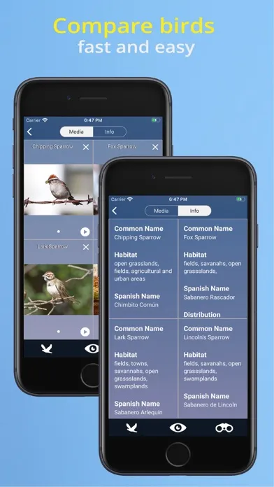 Tangkapan layar Bird Id USA - backyard birds