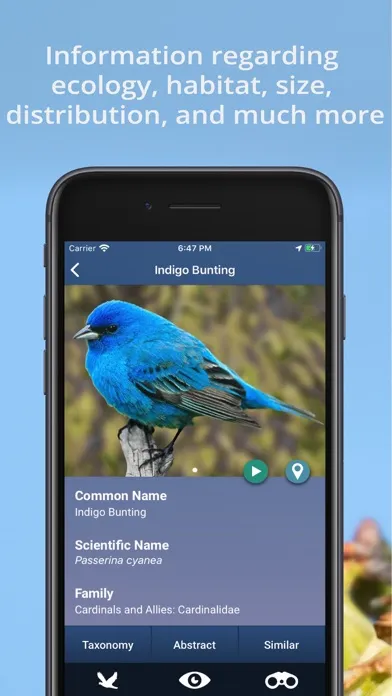 Tangkapan layar Bird Id USA - backyard birds